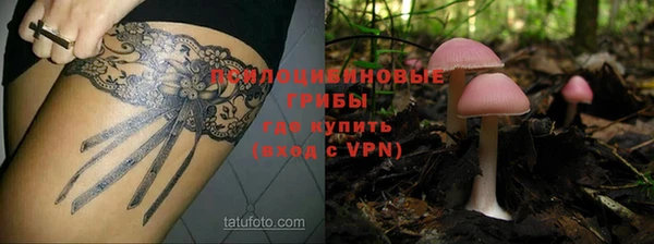 кокаин колумбия Вяземский